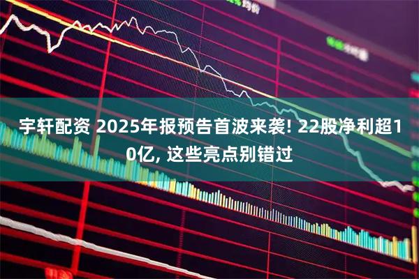 宇轩配资 2025年报预告首波来袭! 22股净利超10亿, 这些亮点别错过