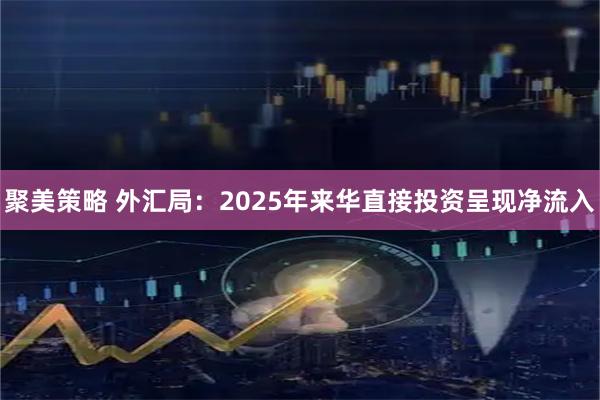聚美策略 外汇局：2025年来华直接投资呈现净流入